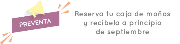 banner preventa