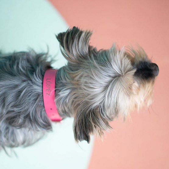 collar perro rosa personalizado