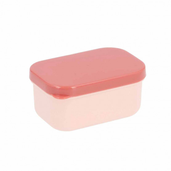 caja bento