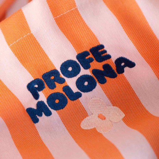 bordado profe molona
