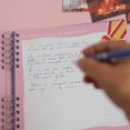 diario fallero