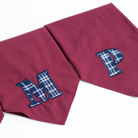 pa&ntilde;uelo fallero iniciales