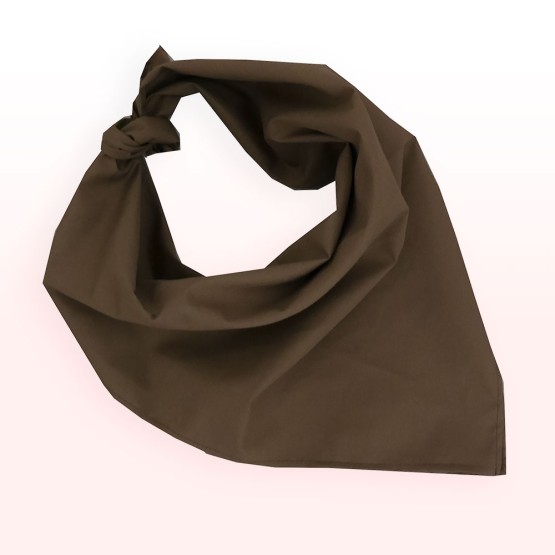 pa&ntilde;uelo blus&oacute;n marr&oacute;n