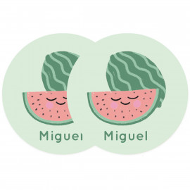 Pegatinas objetos sandia