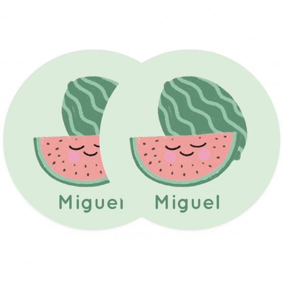 Pegatinas objetos sandia