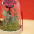 rosa eterna bella y bestia